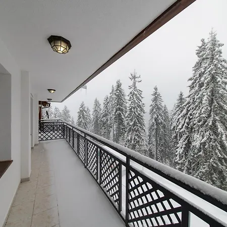 Colors Of Nature In Stylish Flat In By Flat Mаnager Apartment Pamporovo